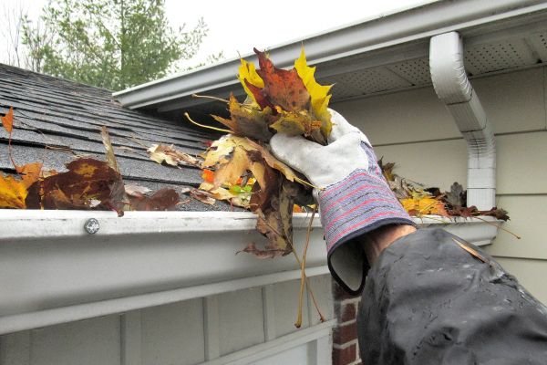 Cost of Eaves Cleaning in Issaquah