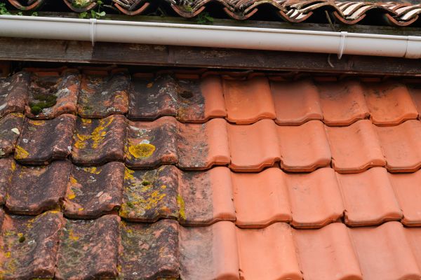 Cost of Industrial Roof Cleaning in Issaquah